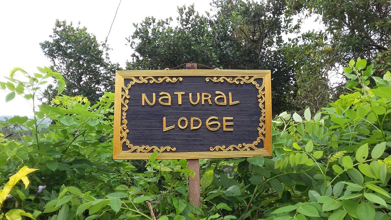 Natural Lodge 2 Selemadeg  Extérieur photo